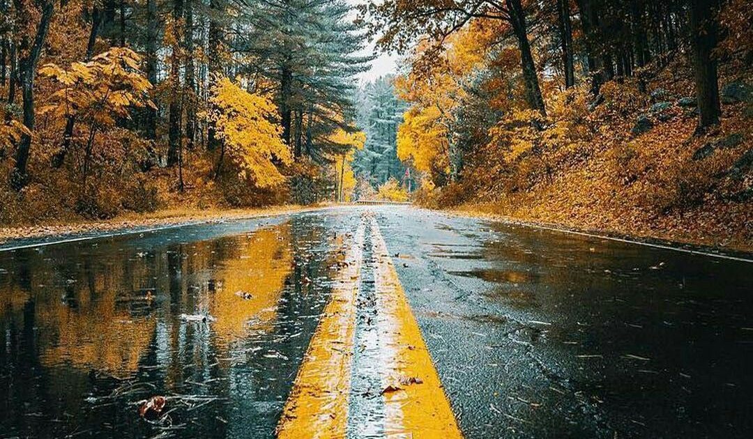 Amgbetgiris bonus ve üyelik notları