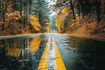 amgbetgiris bonus görseli